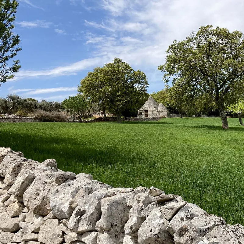 Puglia eBike Adventure — sito web realizzato da Antonello Zaccaria